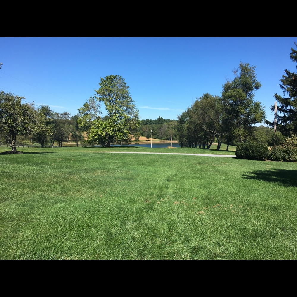 Meet your Posher, Jen